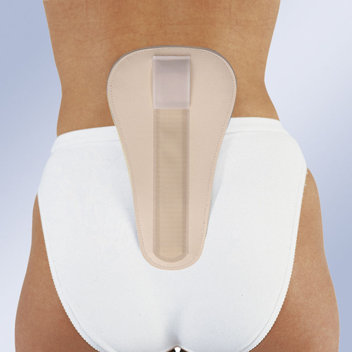 Coussinet lombaire anatomique AL-060-SKIN/AL-060-NEGRO