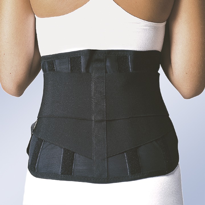 Ceinture de protection pour le travail T-420